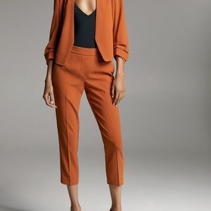 Aritzia Conan Pant in burnt orange